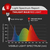 AMPOLLETA TWILIGHT BULB